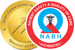 Nabh Logo