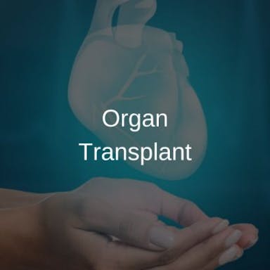 /Treatments/OrganTransplant-410x410-1-1.jpg